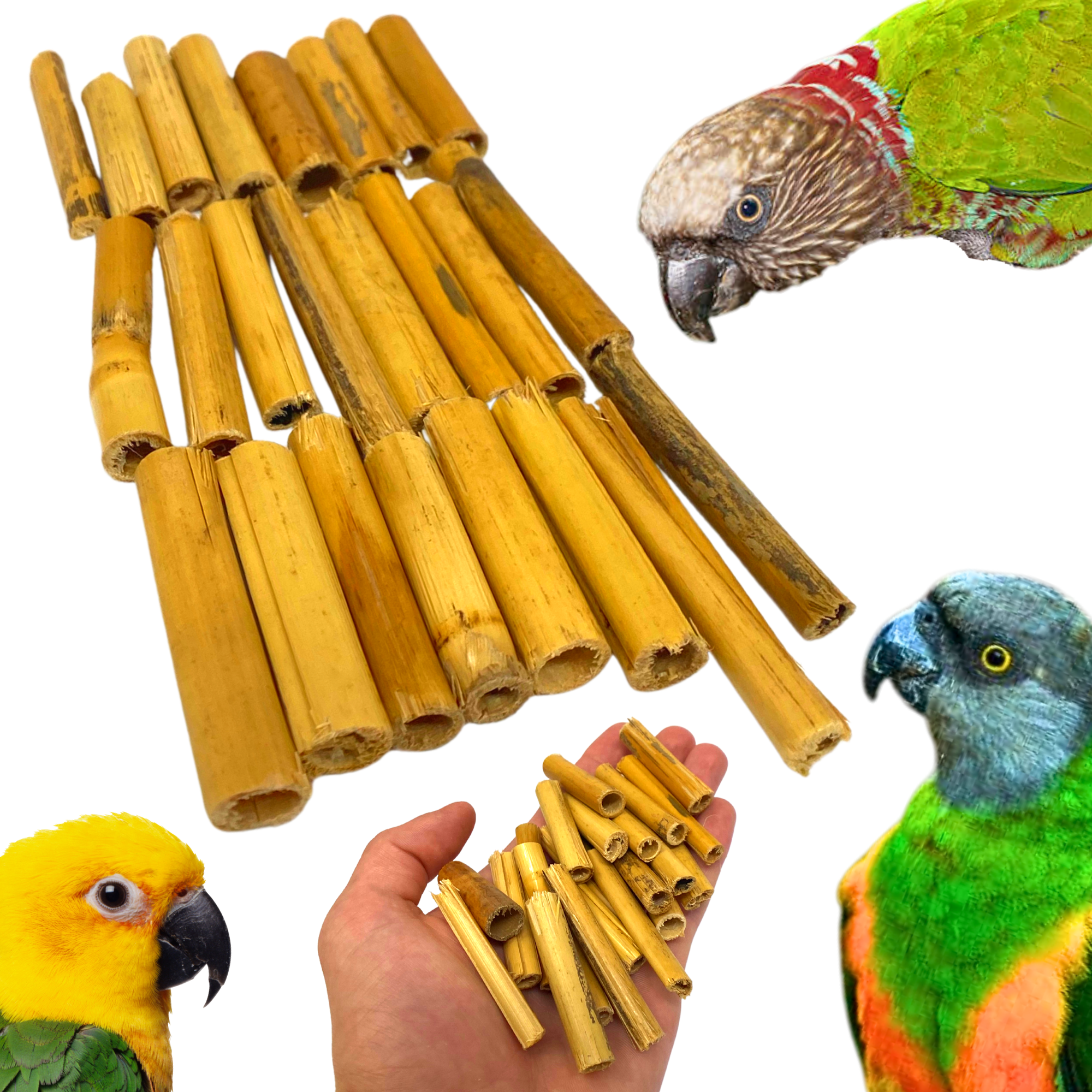 2941 Pk24 Bamboo Sticks - Bonka Bird Toys