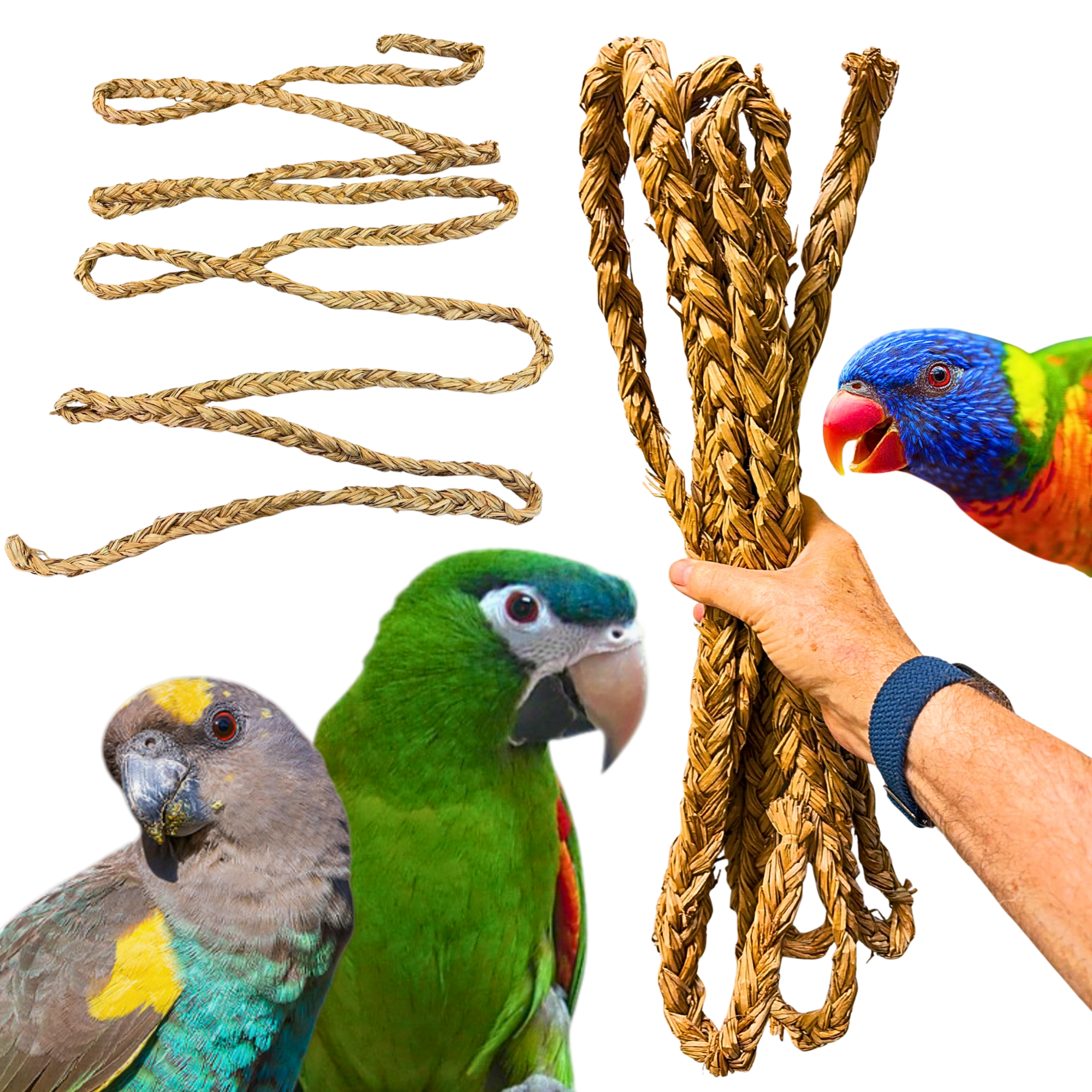 1459 Big Braided Seagrass Rope 15ft - Bonka Bird Toys