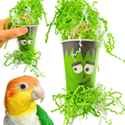 2870 Spooky Frankenstein - Bonka Bird Toys