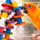 1092 Jumble Chew - Bonka Bird Toys
