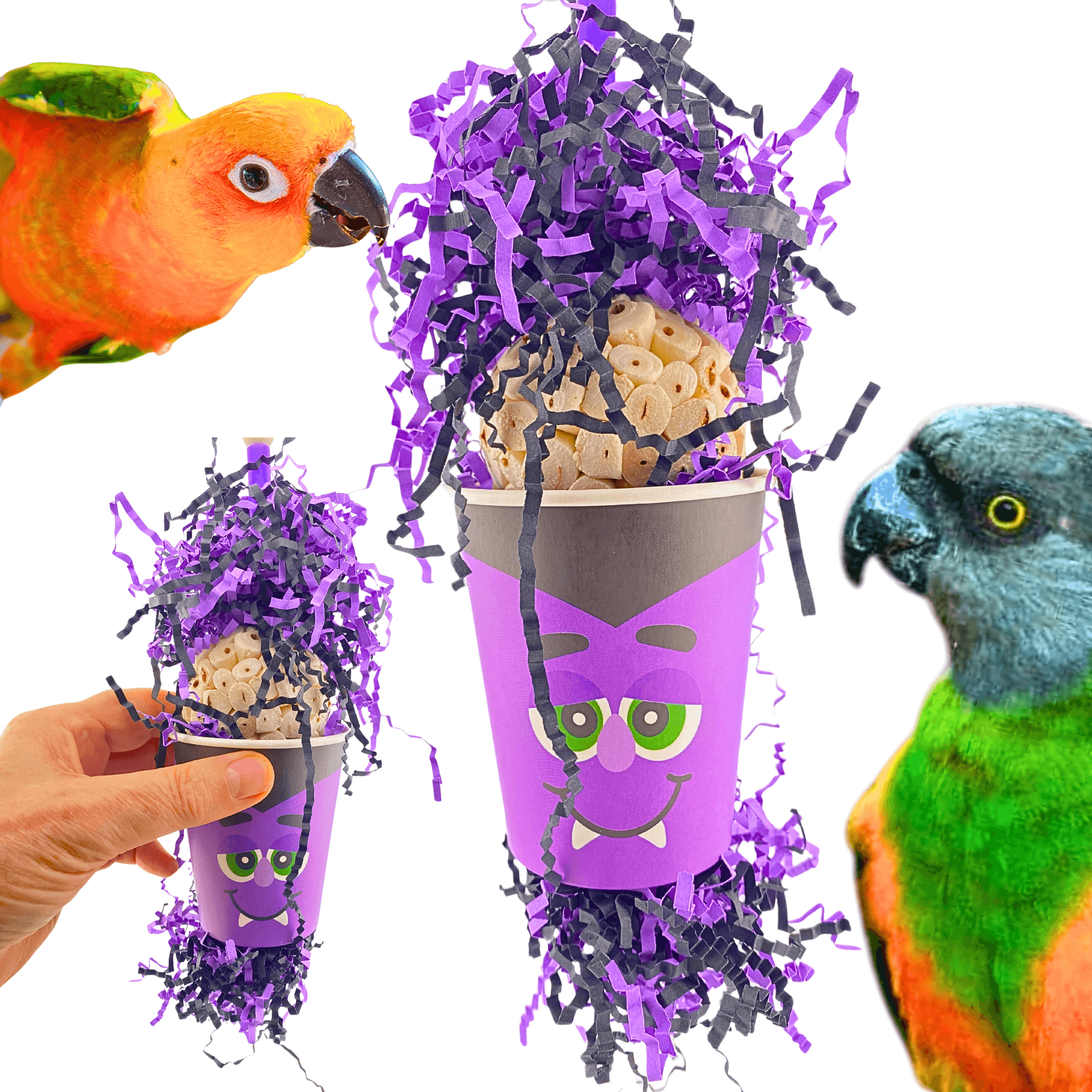 2873 Vampire Forager - Bonka Bird Toys