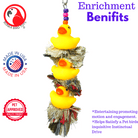 1124 Triple Ducky Plucker - Bonka Bird Toys