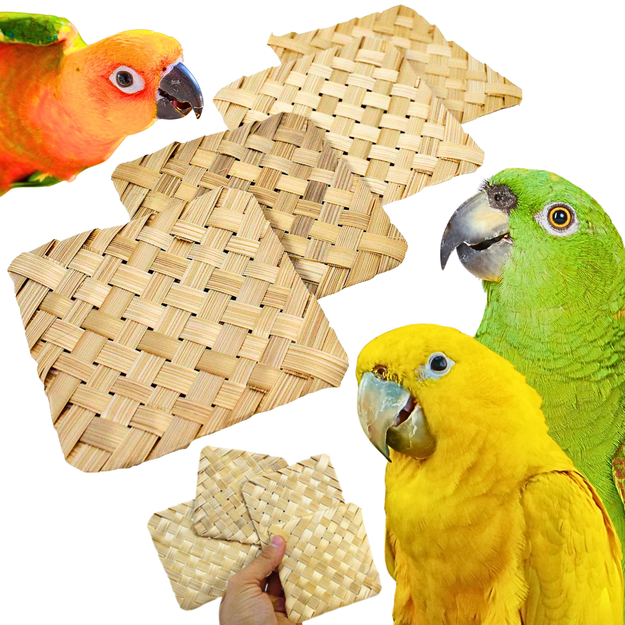 3428 Pk4 Palm 4-Inch Mats - Bonka Bird Toys