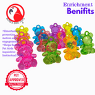 2523 Pk12 Semi-Transparent Colored Acrylic Teddy Bears - Bonka Bird Toys