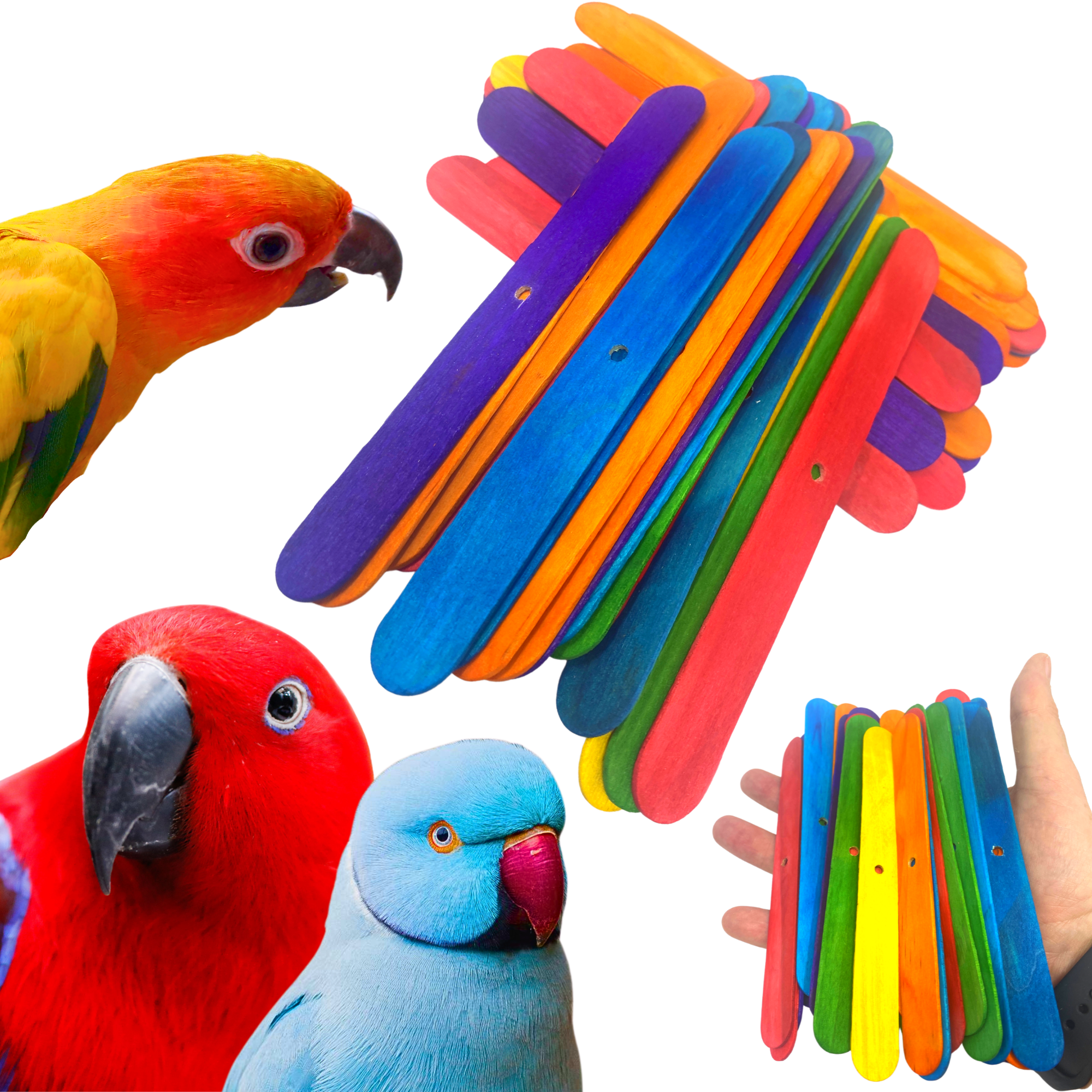 Pk100 Big Colored Wooden Chewy Sticks - Bonka Bird Toys