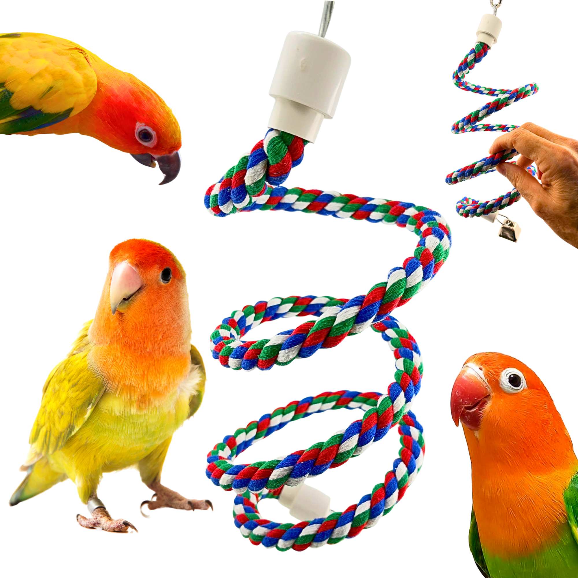2762 Small Swivel Rope Bungee Boing - Bonka Bird Toys