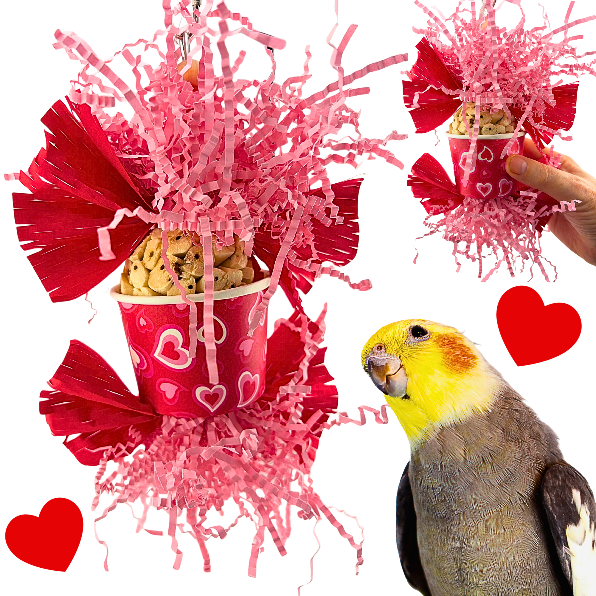 2775 Small Sola Love - Bonka Bird Toys