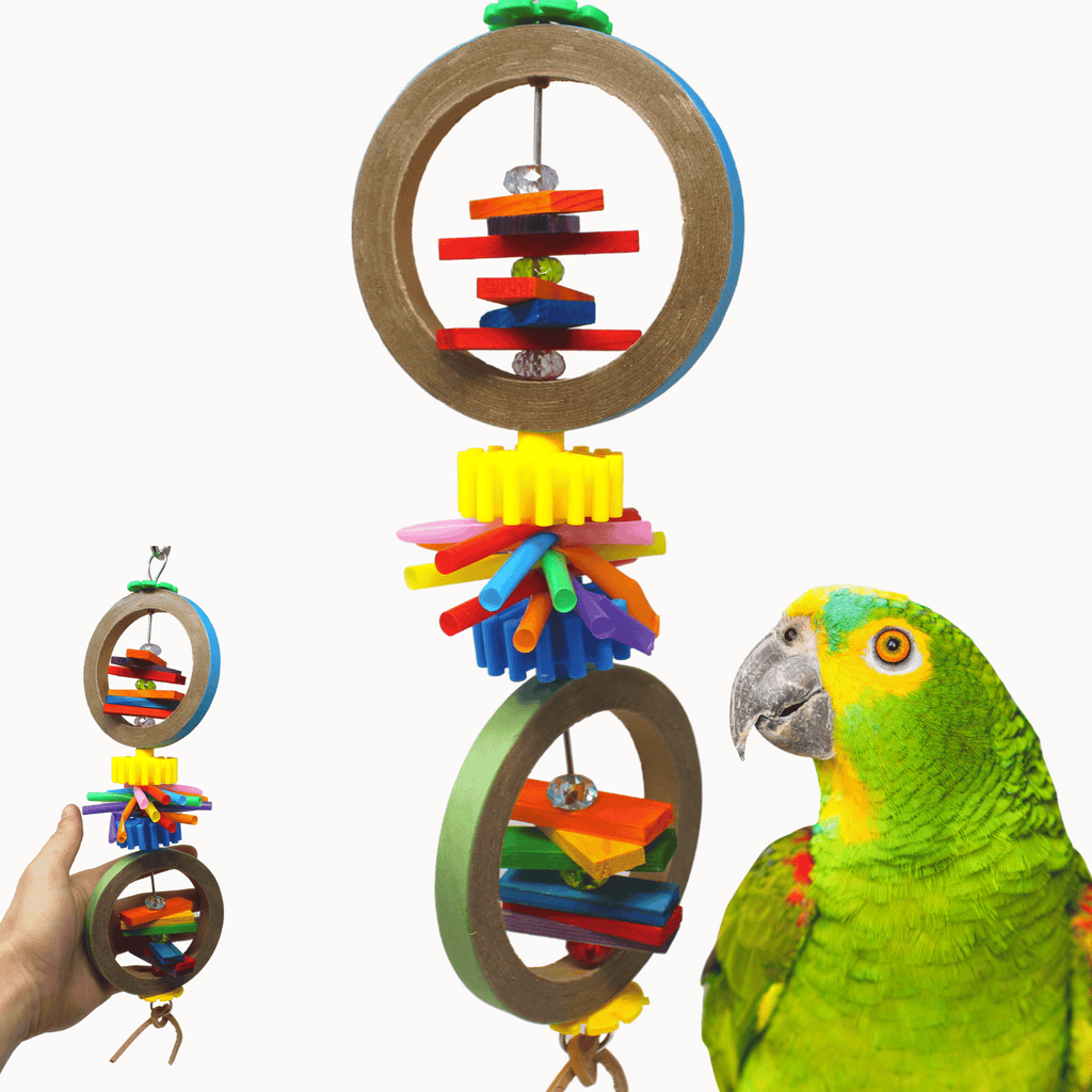 2248 Duo Bagel Chew - Bonka Bird Toys