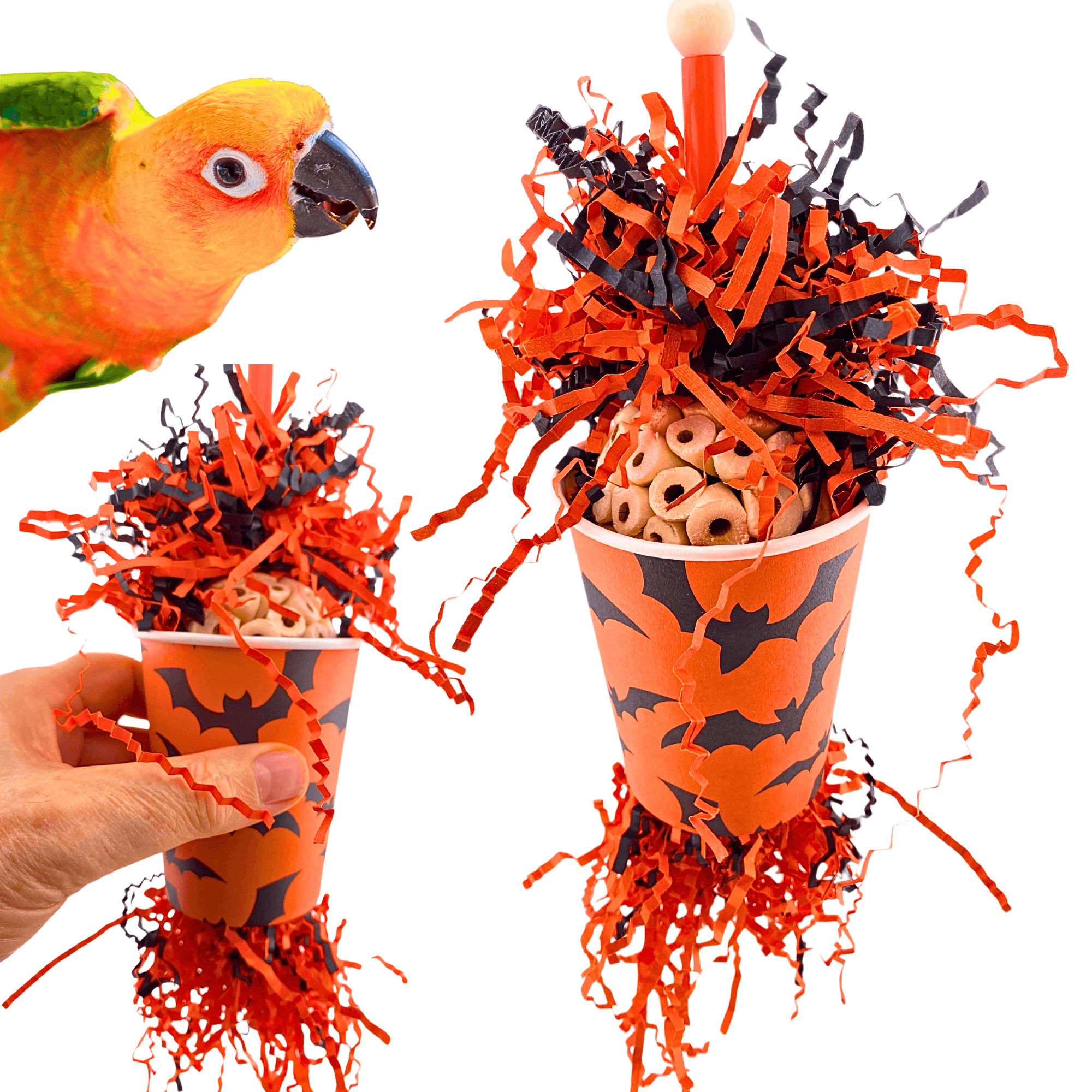 2874 Bat Crazy - Bonka Bird Toys