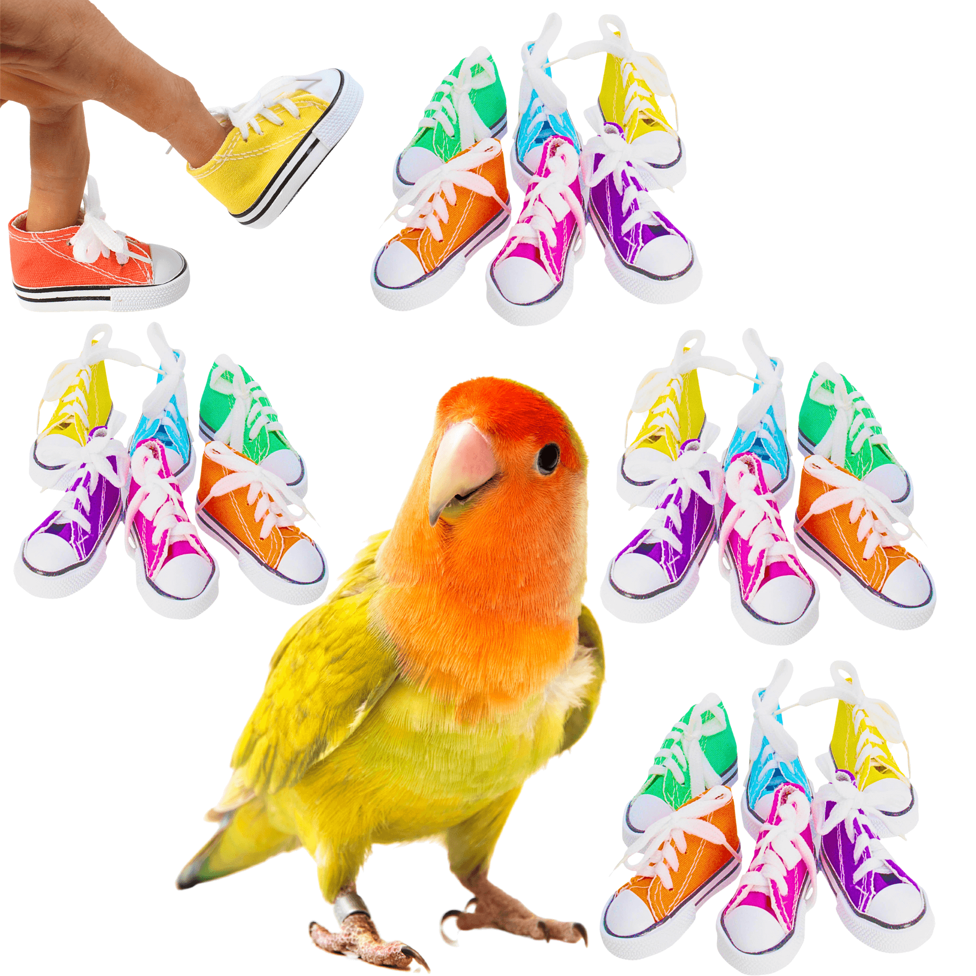 Mini Sneakers Pk12 - Pk24 - Bonka Bird Toys