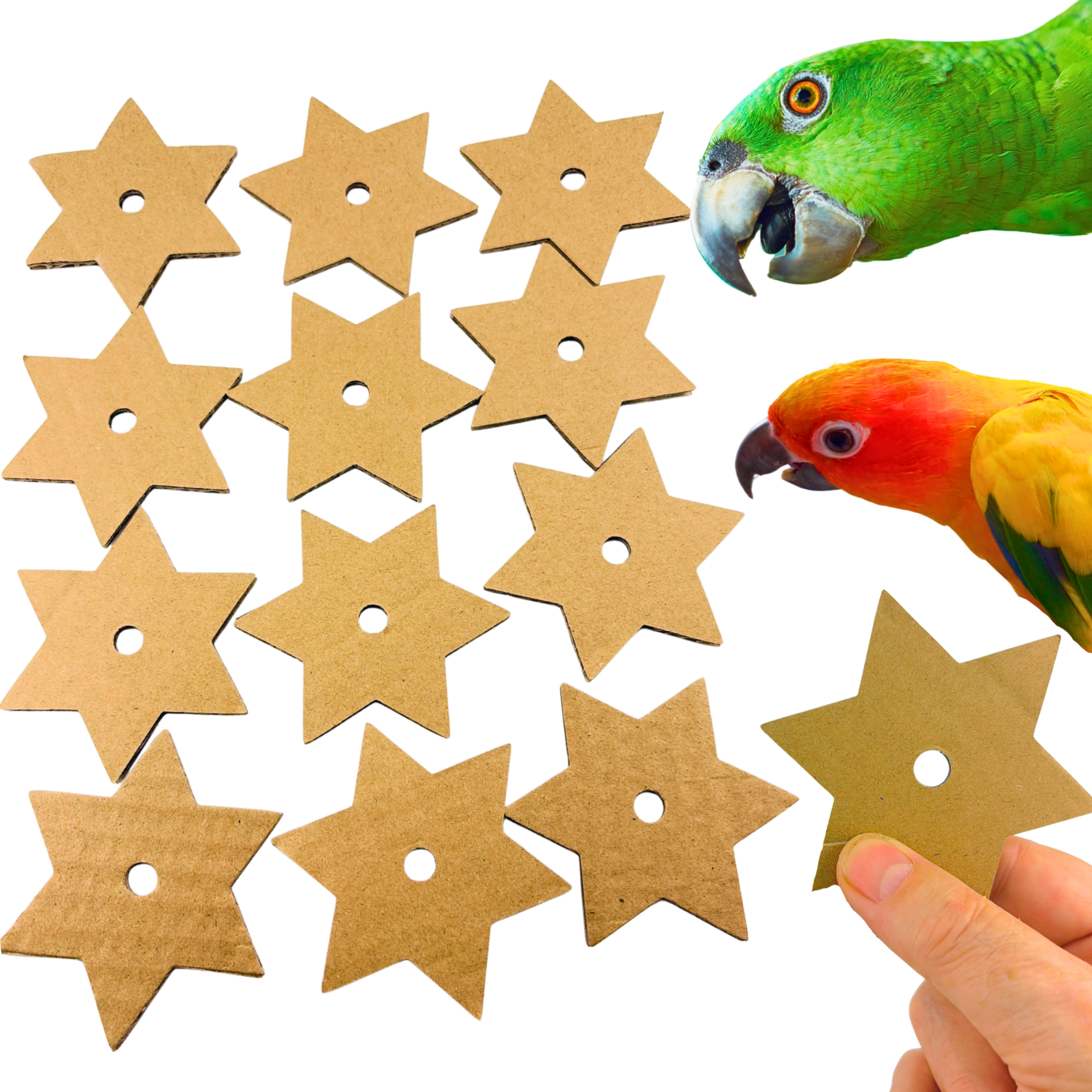2776 Pk12 Large Cardboard Stars - Bonka Bird Toys