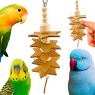 2123 Small Sola Star - Bonka Bird Toys