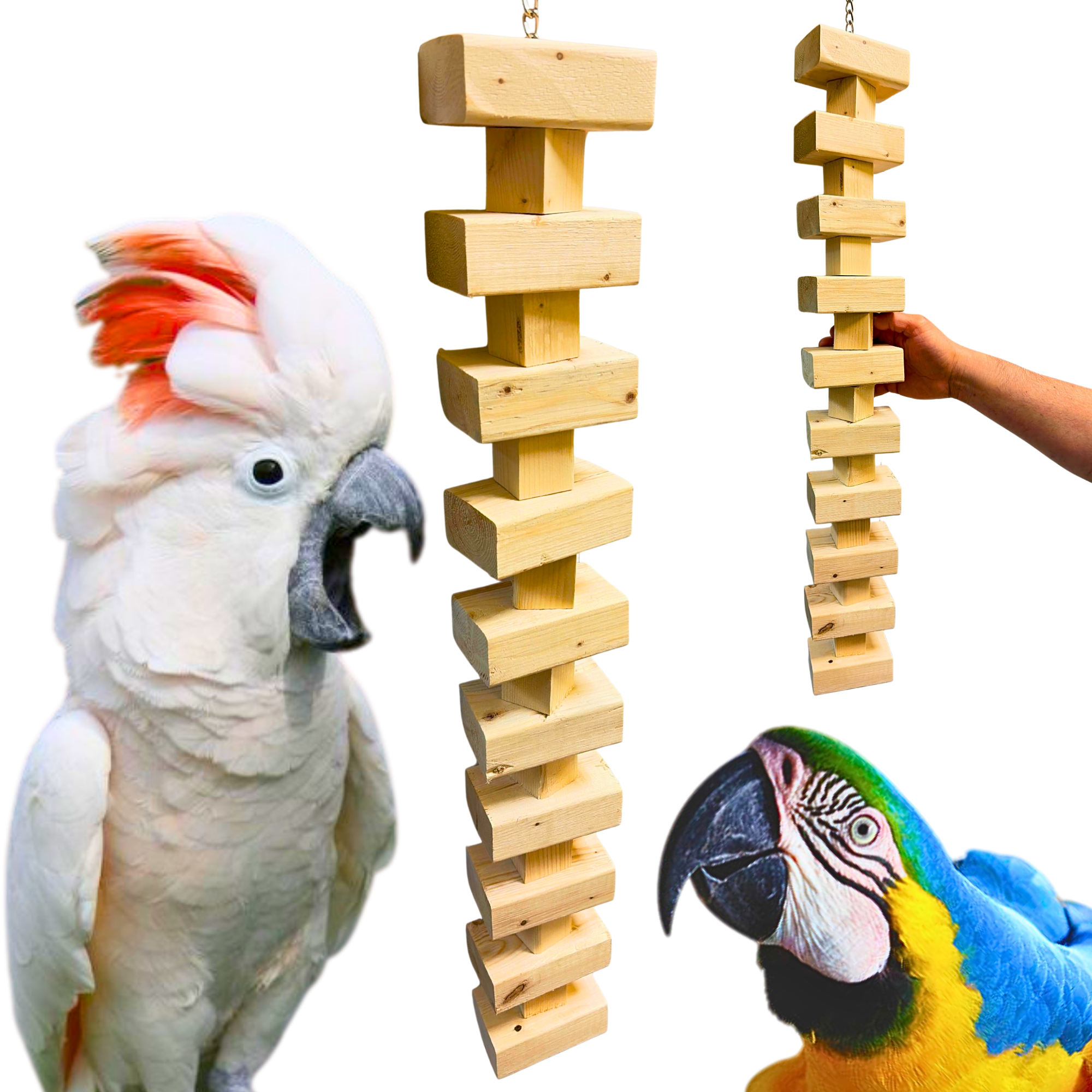 2647 Extra Long Natural Big Bites - Bonka Bird Toys