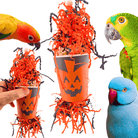 2869 Pumpkin Forager - Bonka Bird Toys