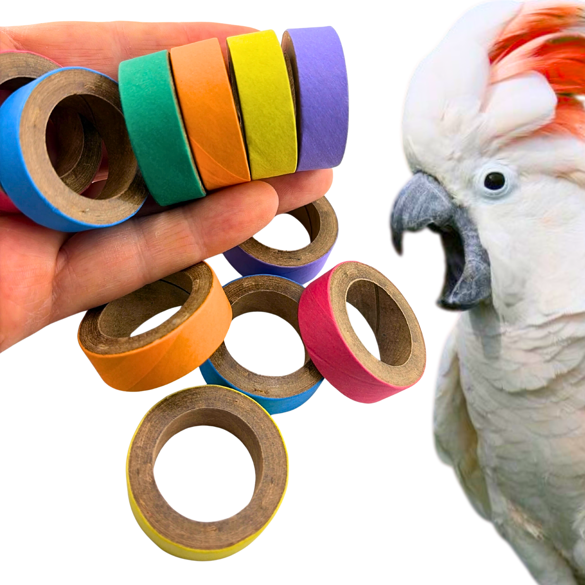 2780 Pk12 Mini Fat Bagels - Bonka Bird Toys