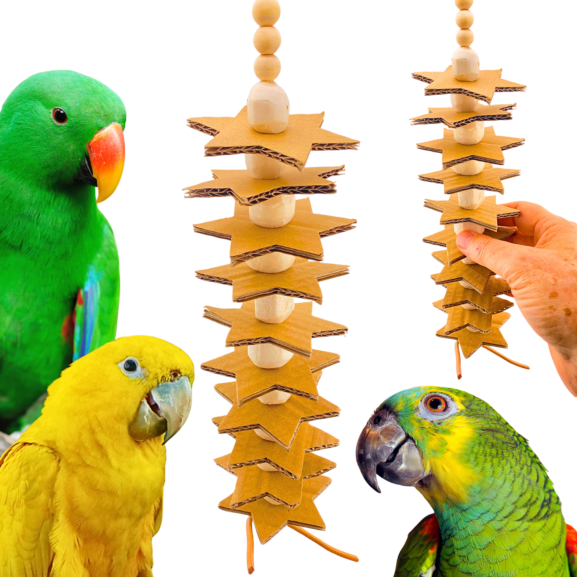 1148 Long Sola Star - Bonka Bird Toys