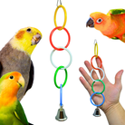 36459 Olympic Rings - Bonka Bird Toys