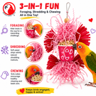 2775 Small Sola Love - Bonka Bird Toys