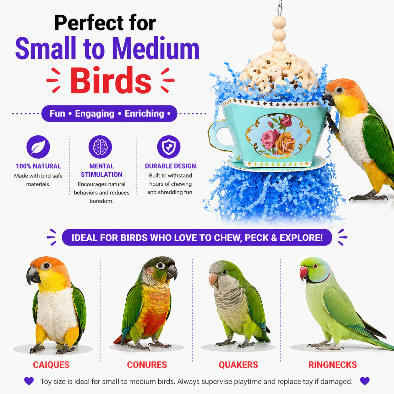 Sola Teacup - Bonka Bird Toys