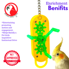 0044 Small Gearhead On Sale! - Bonka Bird Toys