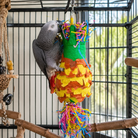 3762 Piñata Pineapple - Bonka Bird Toys