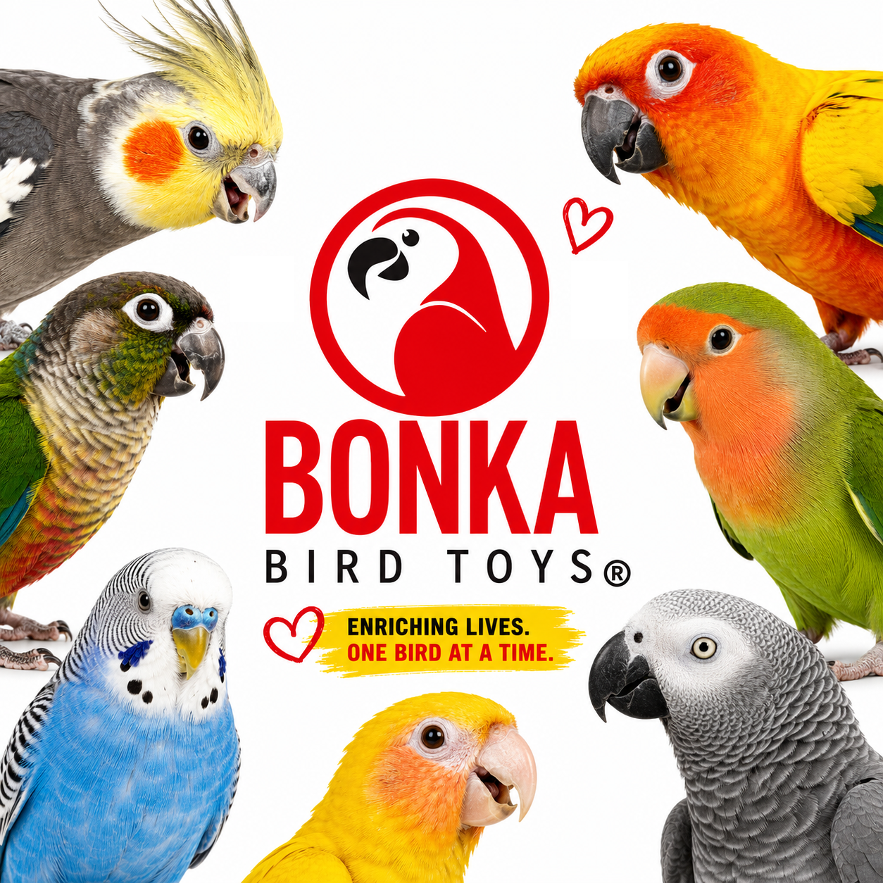 3874 Duo Take Out - Bonka Bird Toys