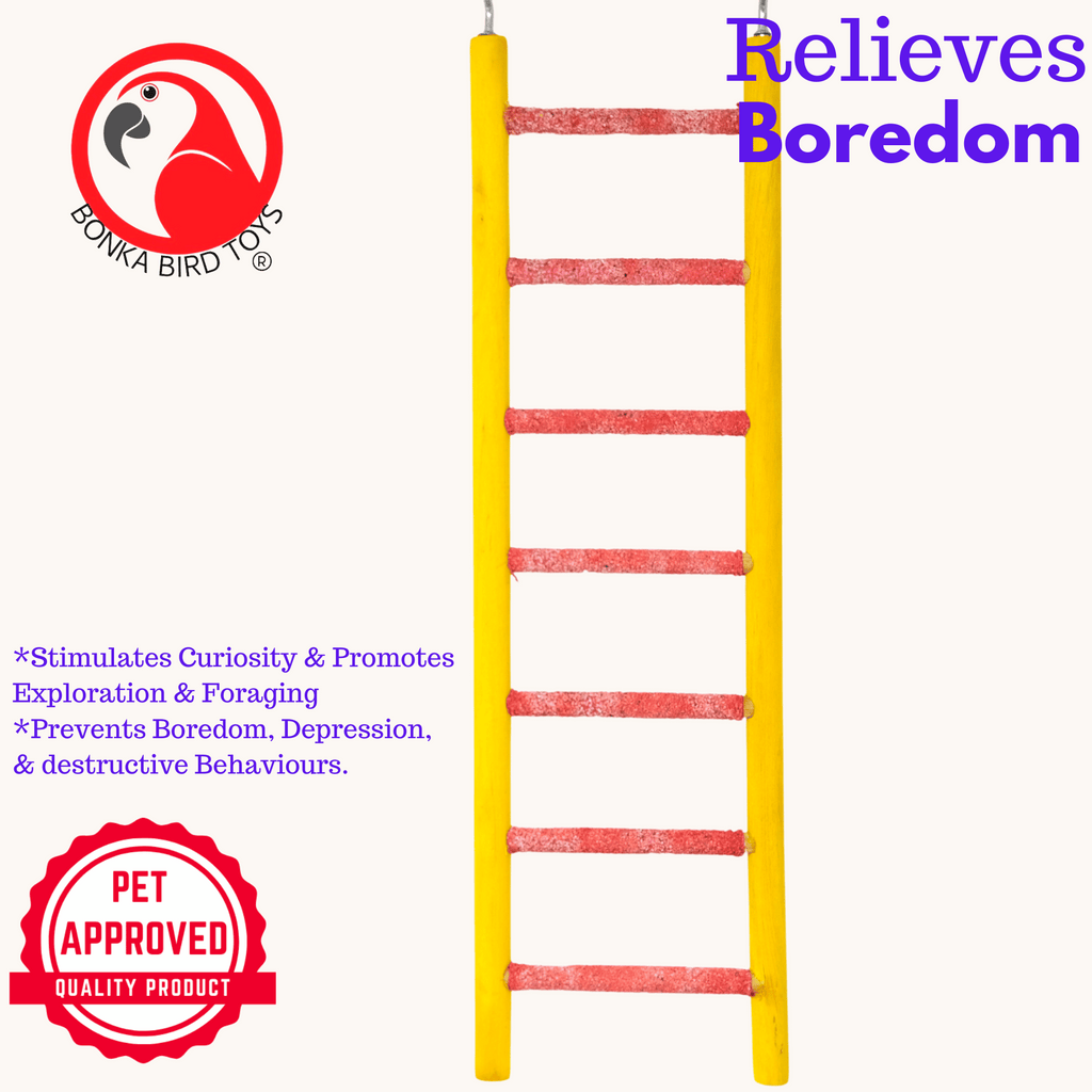 30802 Small Pedi-ladder 11" - Bonka Bird Toys