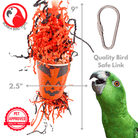 2869 Pumpkin Forager - Bonka Bird Toys