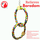 1677 Twin Rainbow Ring - Bonka Bird Toys