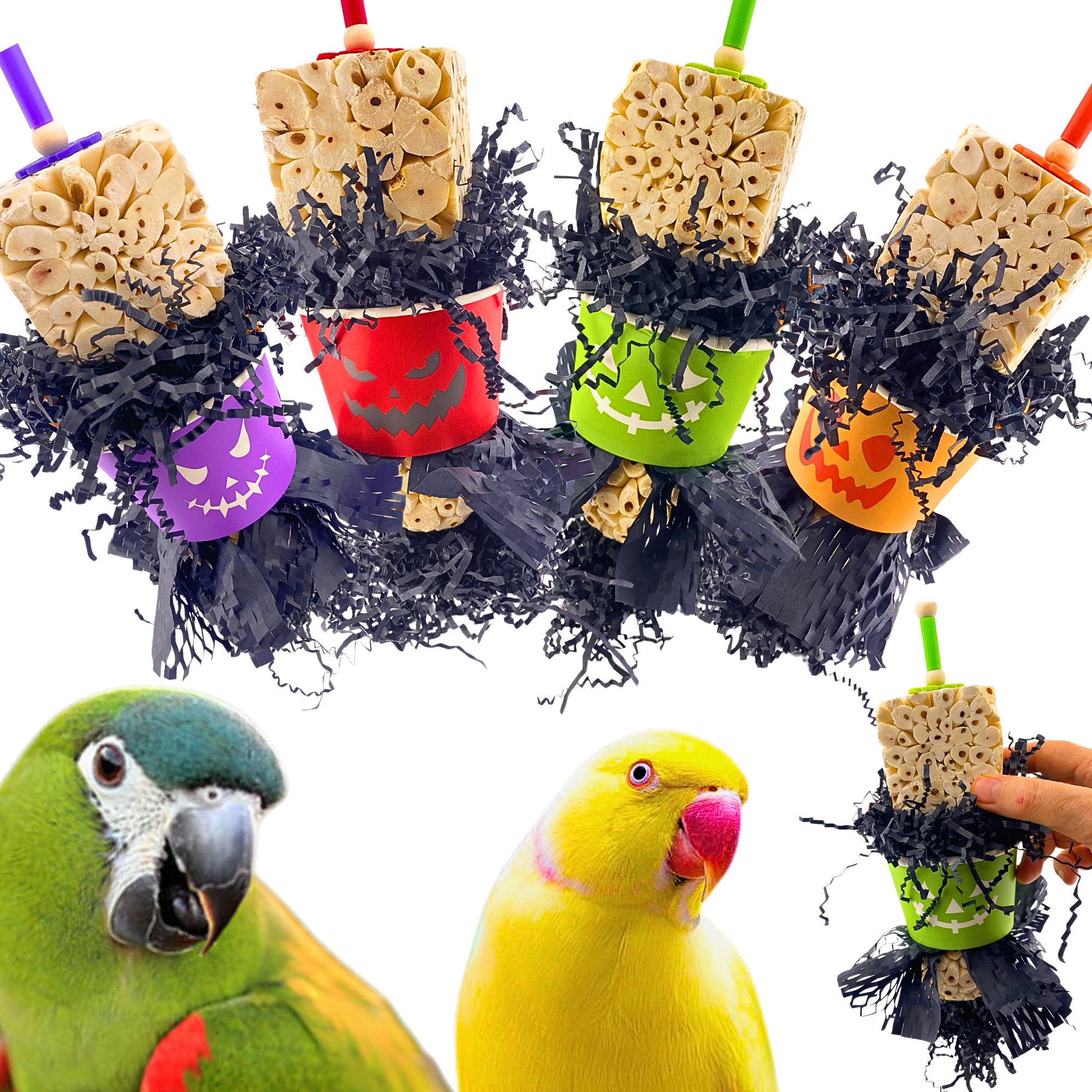 971 Sola Cube Creep - Bonka Bird Toys