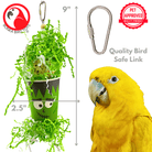 2870 Spooky Frankenstein - Bonka Bird Toys