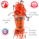 2869 Pumpkin Forager - Bonka Bird Toys