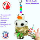 Sports Ducky Plucker - Bonka Bird Toys