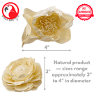 1169 Pk4 Large Sola Atta 3-4" Flowers - Bonka Bird Toys