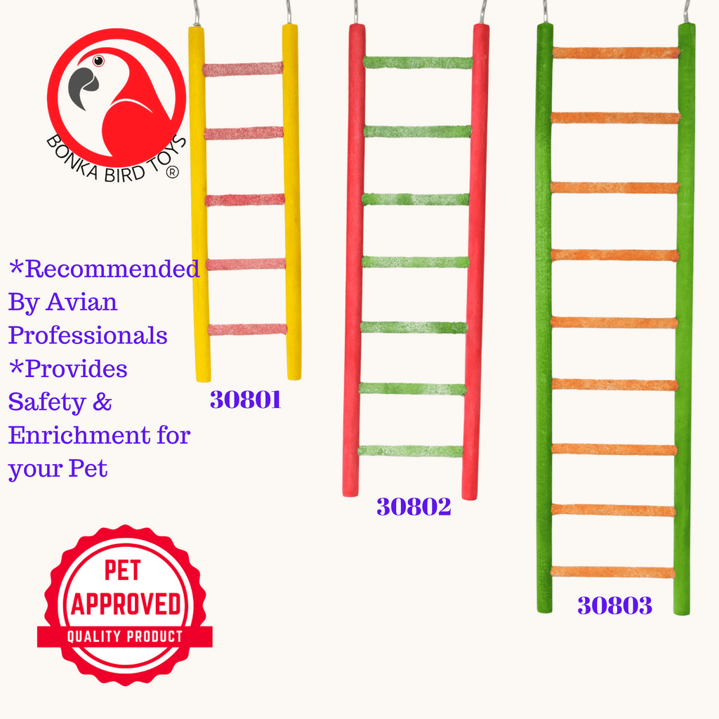 30803 Medium Pedi-ladder 14" - Bonka Bird Toys