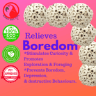 2117 Pk6 Sola Atta Balls - Bonka Bird Toys