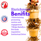 3867 Duo Money Pot - Bonka Bird Toys