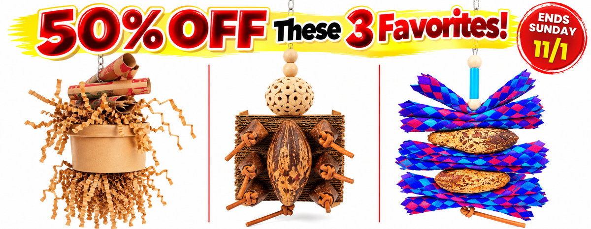 50% off bird toy favorites, ends Sunday 11/1