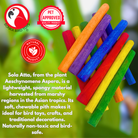 2638 Pk12 Thin Colored Sola Sticks - Bonka Bird Toys