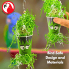 2870 Spooky Frankenstein - Bonka Bird Toys