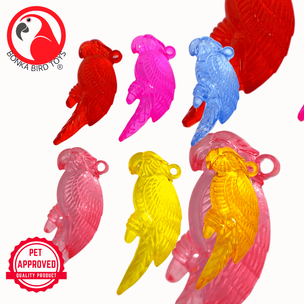 2526 Pk6 Semi-Transparent Colorful Acrylic Parrots - Bonka Bird Toys
