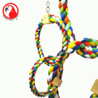 1677 Twin Rainbow Ring - Bonka Bird Toys