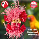 2775 Small Sola Love - Bonka Bird Toys