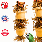 3867 Duo Money Pot - Bonka Bird Toys