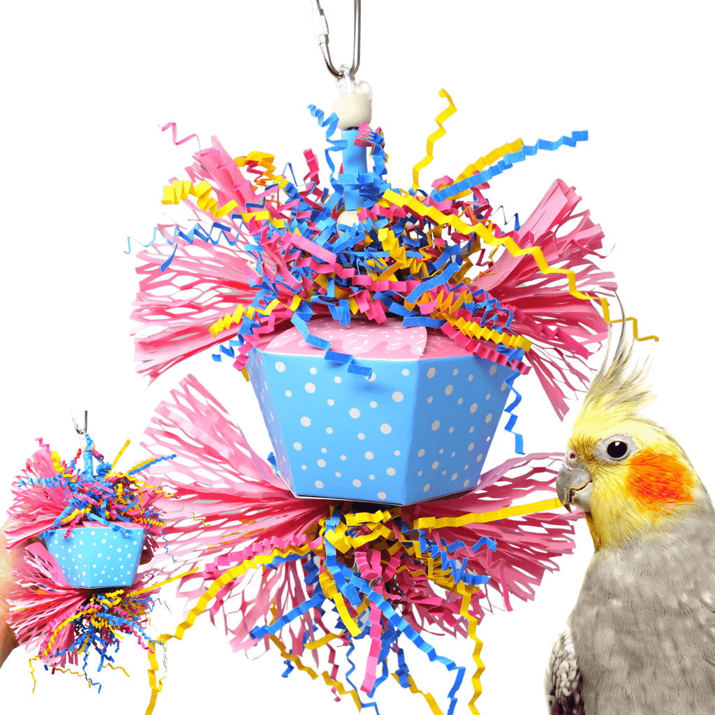 1058 Happy Birthday - Bonka Bird Toys