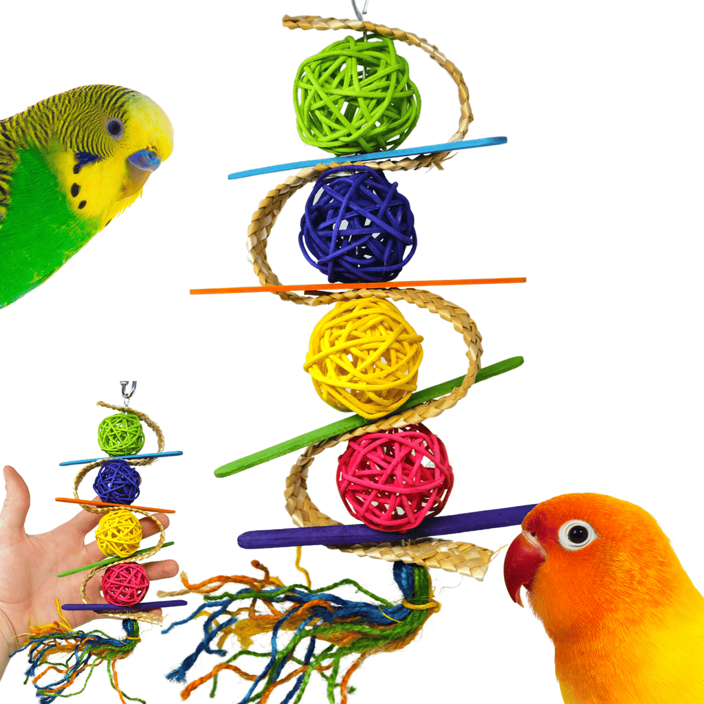 2470 Vine Swirl - Bonka Bird Toys