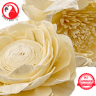 1169 Pk4 Large Sola Atta 3-4" Flowers - Bonka Bird Toys