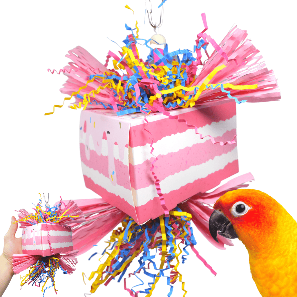 1009 Piece of Cake - Bonka Bird Toys