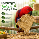 3426 12-Inch Palm Mat - Bonka Bird Toys
