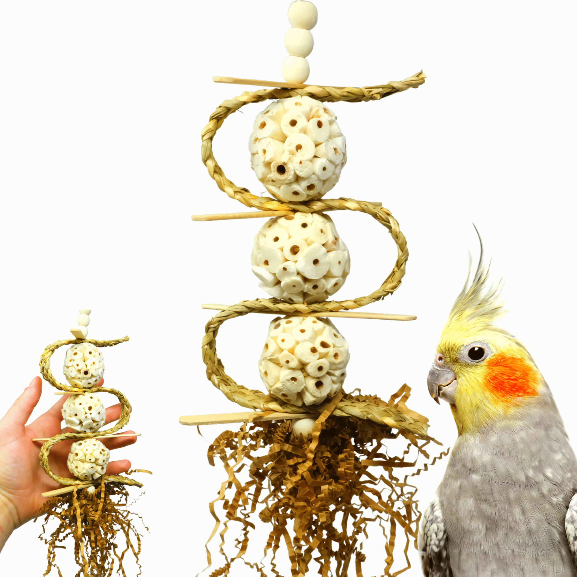 2552 Sola Chewballicious - Bonka Bird Toys